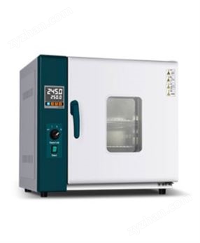 經濟款電熱鼓風干燥箱101系列