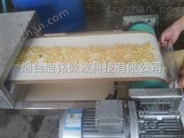 微波五谷雜糧烘烤設(shè)備廠家