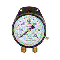雙針壓力表   YZS-102