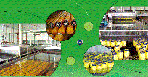 罐头水浴杀菌机